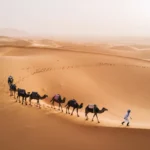 best fes to merzouga desert tour 2 days